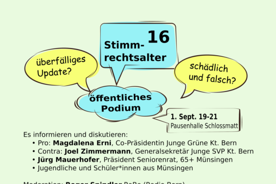 stimmrechtsalter16_visual.png