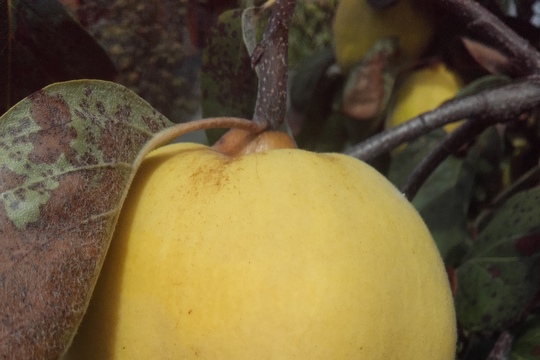 20181006_142253.jpg