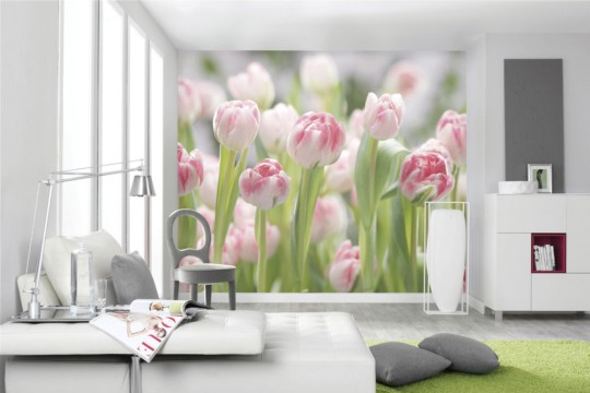 8708_i_1.jpg