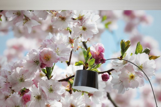 507-dv3_spring_interieur_i_ma.jpg