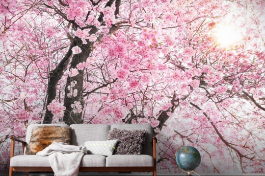 sh083-vd4_bloom_interieur_i_ma.jpg