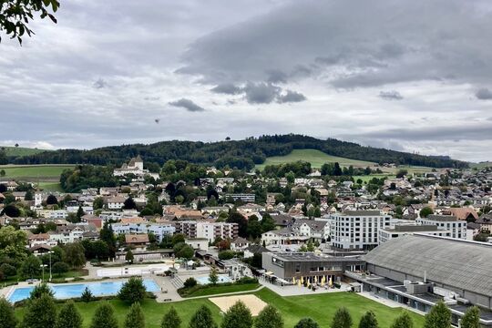 Bild &laquo;Fressen, weil Sterben keine Option ist&raquo;