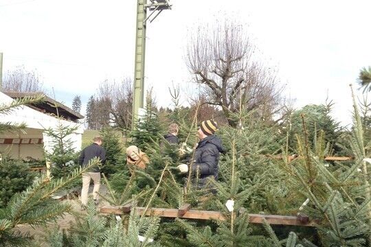 Foto 22.12.13 11 53 56.jpg