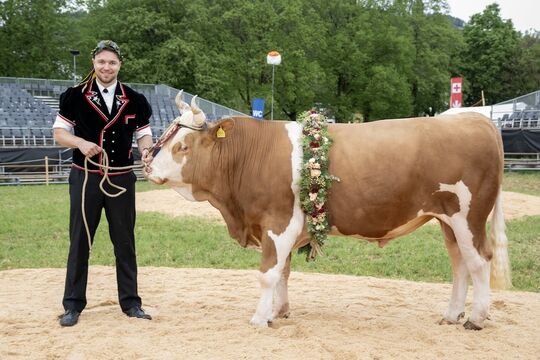 Bild Emmentalisches 2026 in Oberdiessbach: Das Schwingfest vom Sonntag
