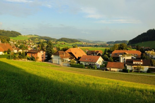 Boll-mit-AbendsonneDSC06374-b6e1c17c58513d8g4e045ae00daccf9f