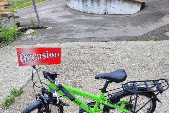 20260605_083025.jpg
