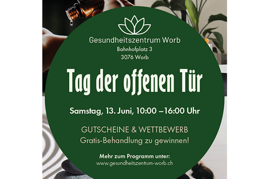 GZW Agendaeitrag.png