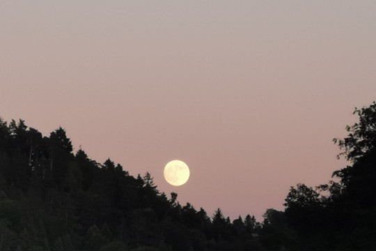 vollmond pesche4.jpg