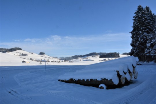 langlauf arnisäge