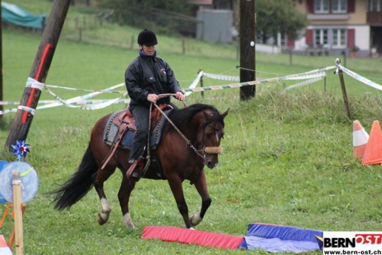 e36d27fa2284b0414676ce120ecb7990.jpg