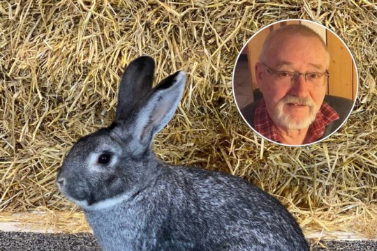 Michael Fankhauser mit seinem Chinchilla Champion
