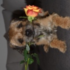 Profil Bild