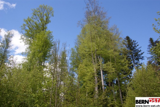 e474c12617bbf7538ee86c1b895af648.jpg