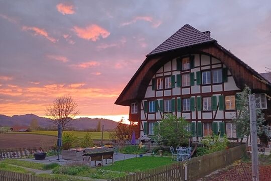20240410_201042.jpg