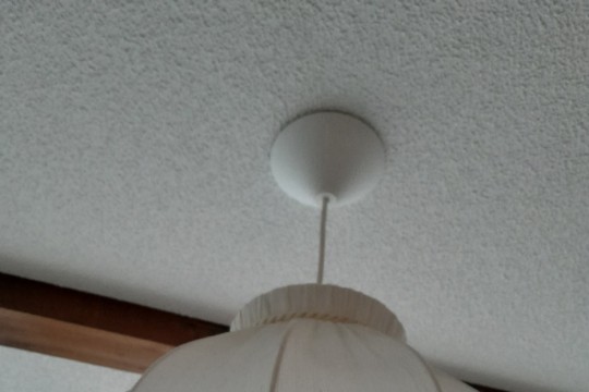 20241214_095130.jpg