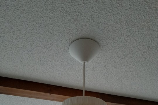 20241214_095138.jpg
