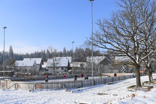 Eis Arni