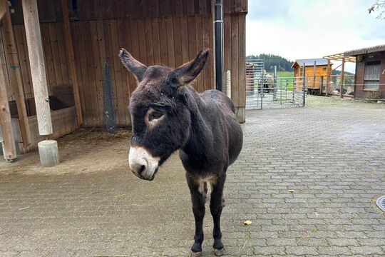 WhatsApp Image 2025-11-13 at 12.54.26(1)