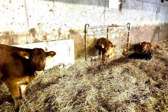 WhatsApp Image 2025-11-13 at 12.54.26(12)