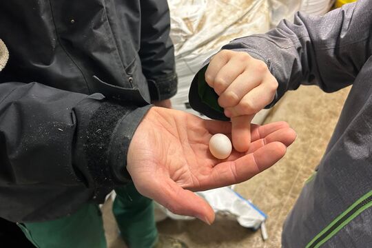 WhatsApp Image 2025-11-13 at 12.54.26(13)