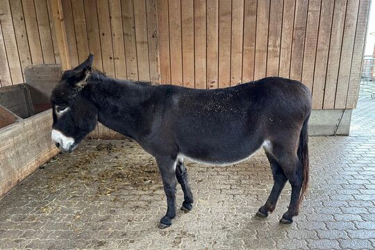 WhatsApp Image 2025-11-13 at 12.54.26(3)