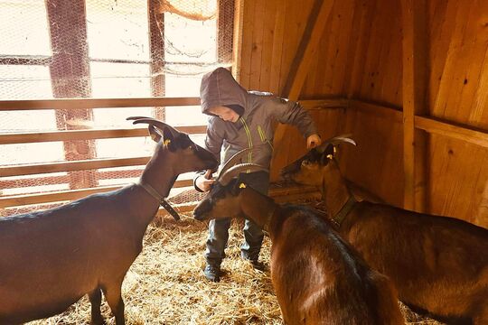 WhatsApp Image 2025-11-13 at 12.54.26(9)