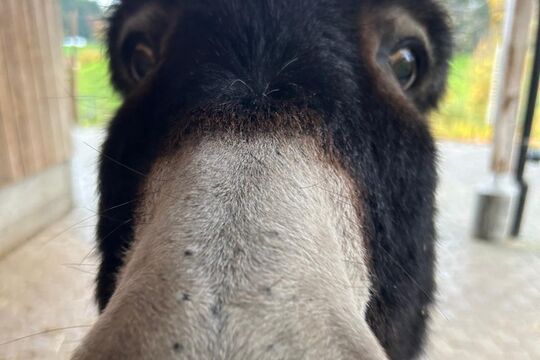 WhatsApp Image 2025-11-13 at 12.54.26