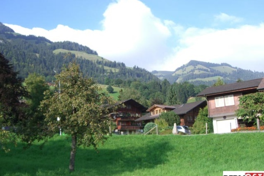 e554b33eb057158ecb39b5d4166575b8.jpg