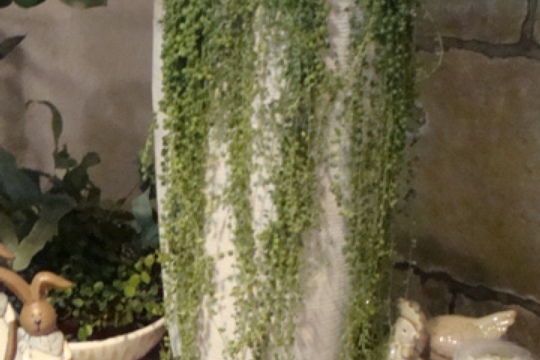 e5776ea3ab5be5591f7adf16961d2ff8.jpg