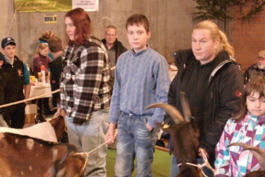 e5d2afa074a394703c323f69dc430f7a.jpg