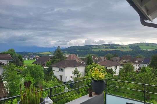 20250520_152729.jpg