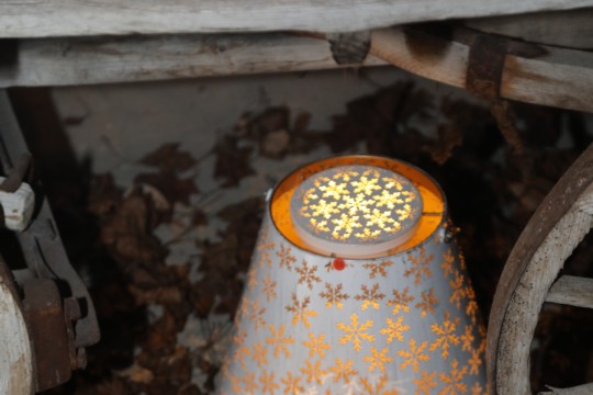 6O7A6878