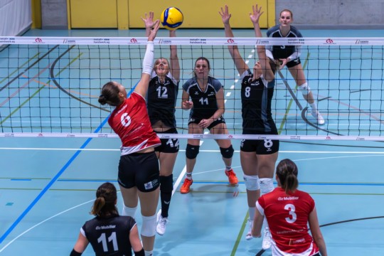 2024-11-14_09-37-28.jpg