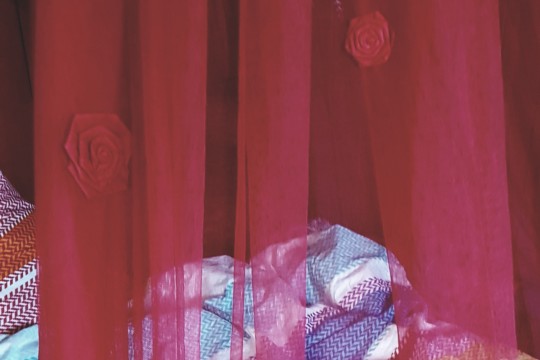 20221006_182317.jpg