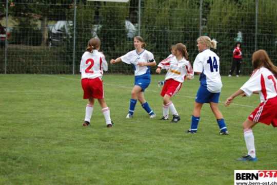 e6e2274b0362a944db14eed3896bcaa8.jpg