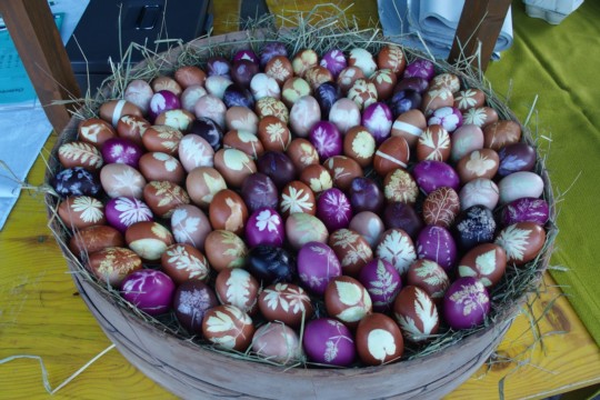 P1010170