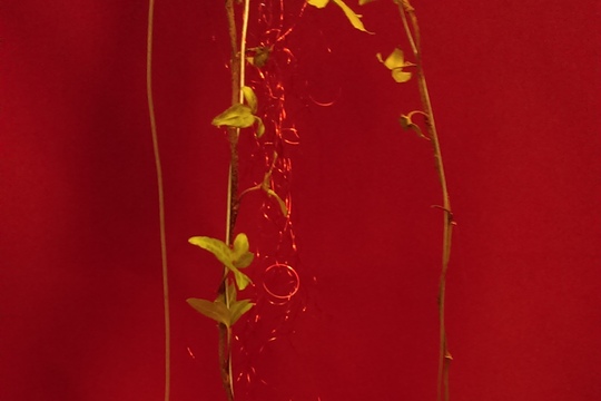 IMAG5427.jpg