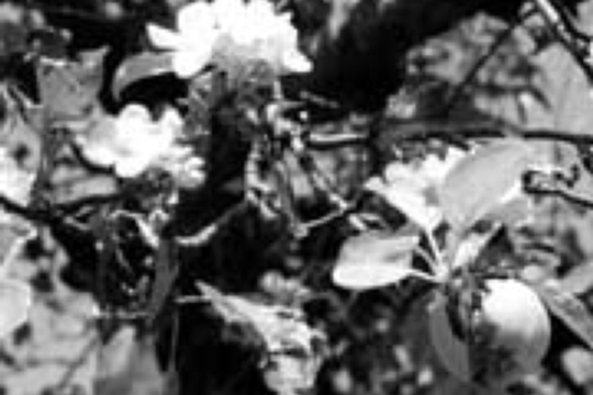 e7c806038610da5f5b0a2b44b20e79de.jpg