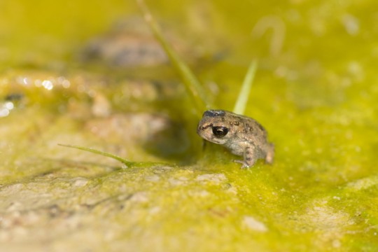 19_Vigier_Finsterhennen_Floraschulung_20_800x550.jpg