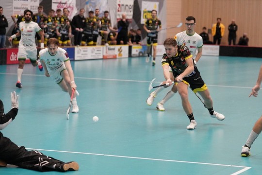 2024-01-17_Tigers-WaSa_Gutschi.jpg