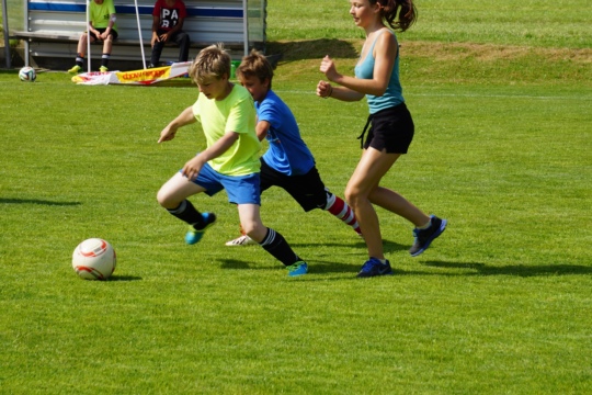 e90d490580879f7a2b26230b8eed173e.jpg