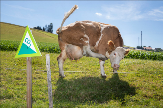 Bildschirmfoto 2018-06-29 um 09.47.39