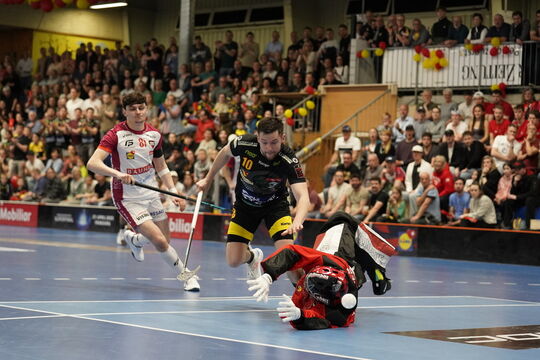 2025-04-03_PHF1_Tigers-FBK (3).jpg