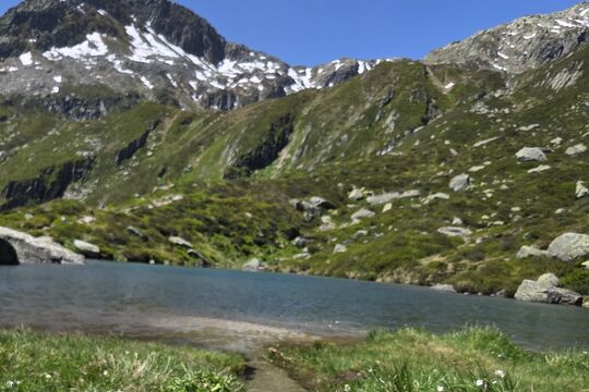 20250612_122144.jpeg
