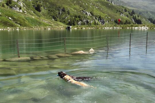 IMG-20250614-WA0068.jpeg