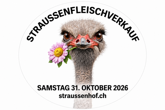 Oktober-Verkauf-Bern-Ost-1080x700.png