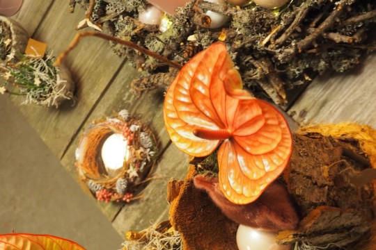 Adventsevent (24)