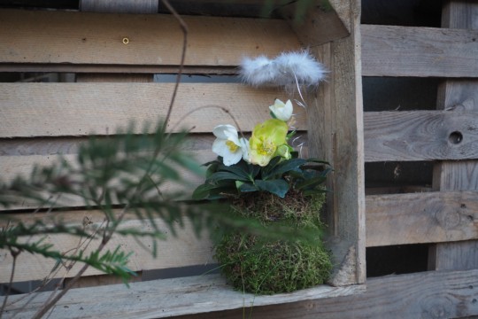 Adventsevent (3)