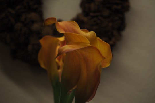 Adventsevent (70)