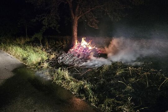 Bild Asthaufen brennt in Richigen